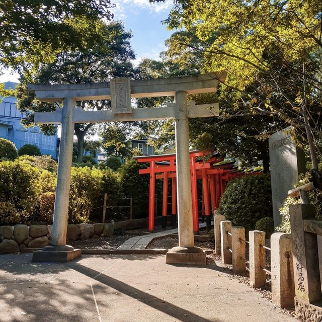 Nezu Shrine 