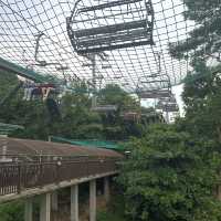 Skyline Luge Sentosa, Singapore