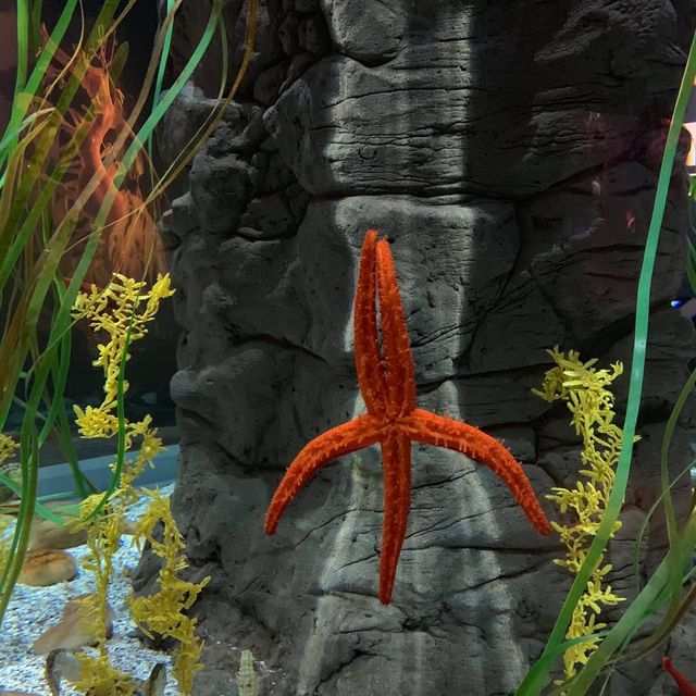 Seville aquarium 