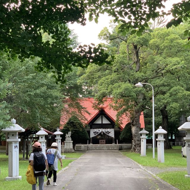 帯広神社夏詣　神秘的な緑の池と花手水🌺
