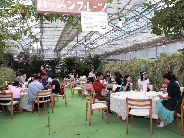 新潟葡萄莊園給你最棒的葡萄享受