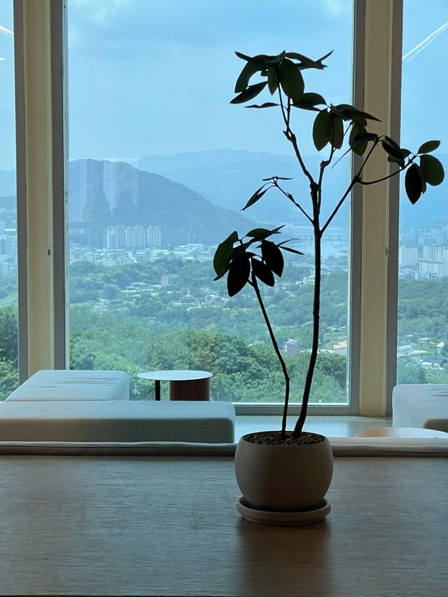 < 춘천 카페 > 감탄사가 절로 나오는 구봉산 view, 카페 PP