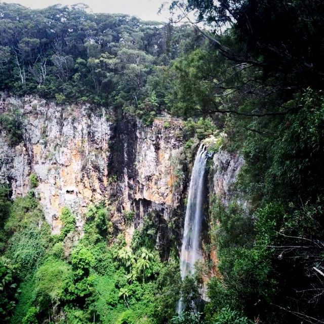 It's a Land Of Waterfall In Springbrook