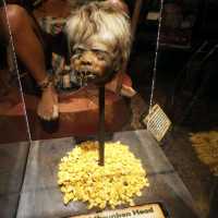 Surfers Paradise Ripleys Believe Or Not