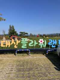 창원 핑크뮬리 성지