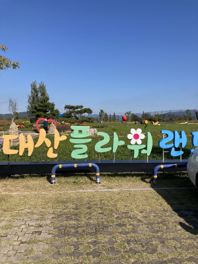 창원 핑크뮬리 성지