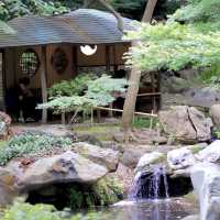 【六義園】秋・都心の自然でリフレッシュ