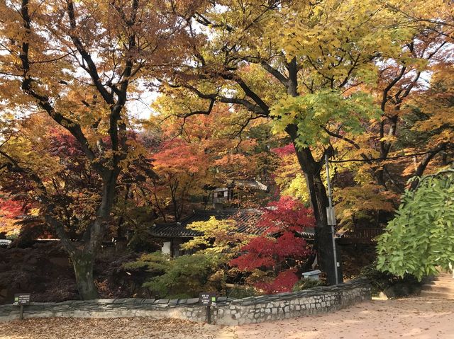 シャッターを押せば全てが美しく写る吉祥寺