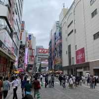 Japan Capital 
