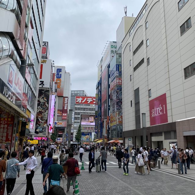 Japan Capital 