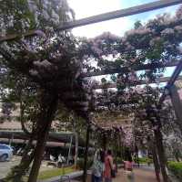三重菜寮捷運站