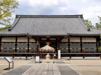 🌸京都 総本山！仁和寺をご紹介