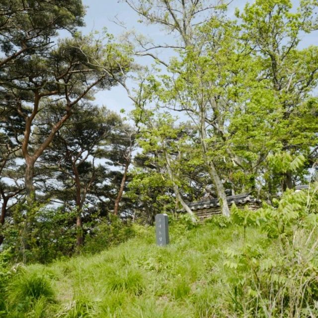 고대도 각시당, 당산 피크닉