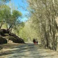 PAMIR HIGHWAY 
