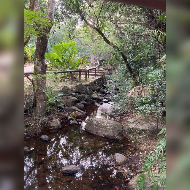 粉嶺小日本流水響⛰️