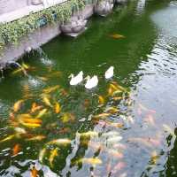 Old Shanghai's Yu Garden