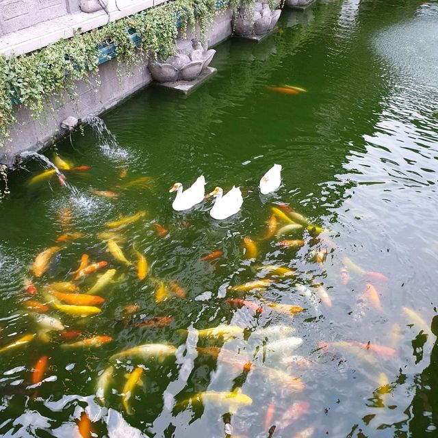 Old Shanghai's Yu Garden