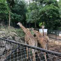 Khao Yai's Bonanza Exotic Zoo
