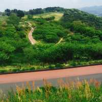 Exploring to the Japan countyside