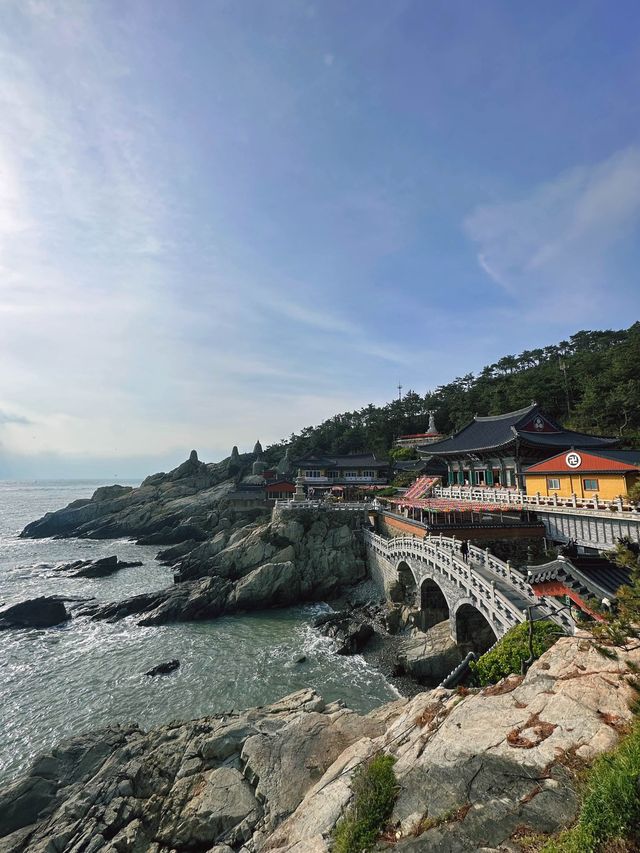 《南韓釜山》早起來去釜山海東龍宮寺走走吧