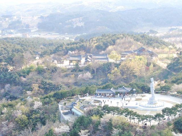 1000년의역사 양양 낙산사