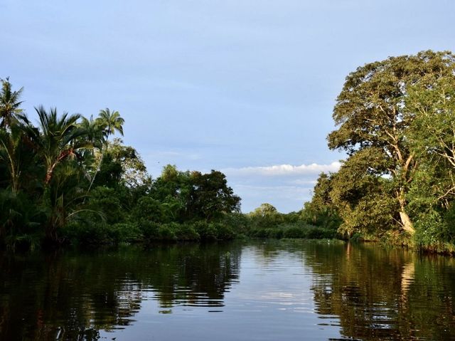 Klias Wetland River Cruise - Borneo, Malaysia