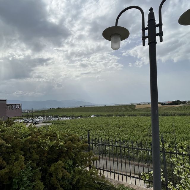The Marramiero Winery in Abruzzo Italy 🇮🇹 