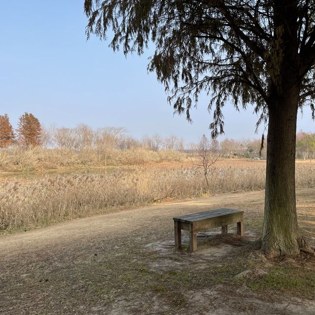 Dongtan Wetland Park, Chongming