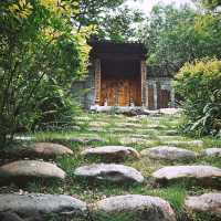Rock Garden 🌿🌈🙃