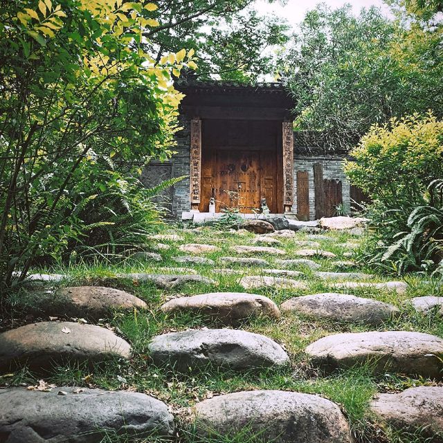 Rock Garden 🌿🌈🙃