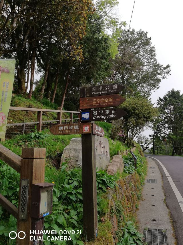 阿里山