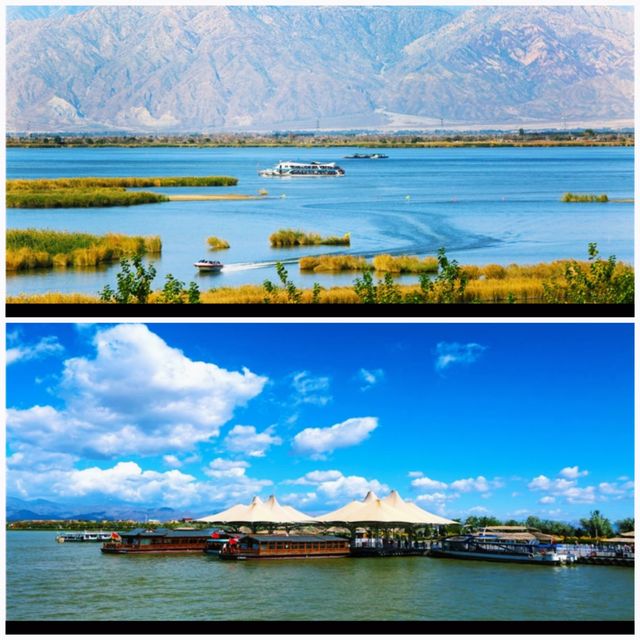 Half lake, half sand 🏜️ The desert lake is truly the "Jiangnan" of the north! 🌆