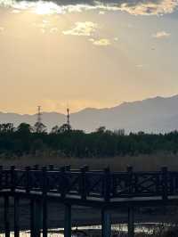 Yanqing's small and free park | Guishui River Forest Park