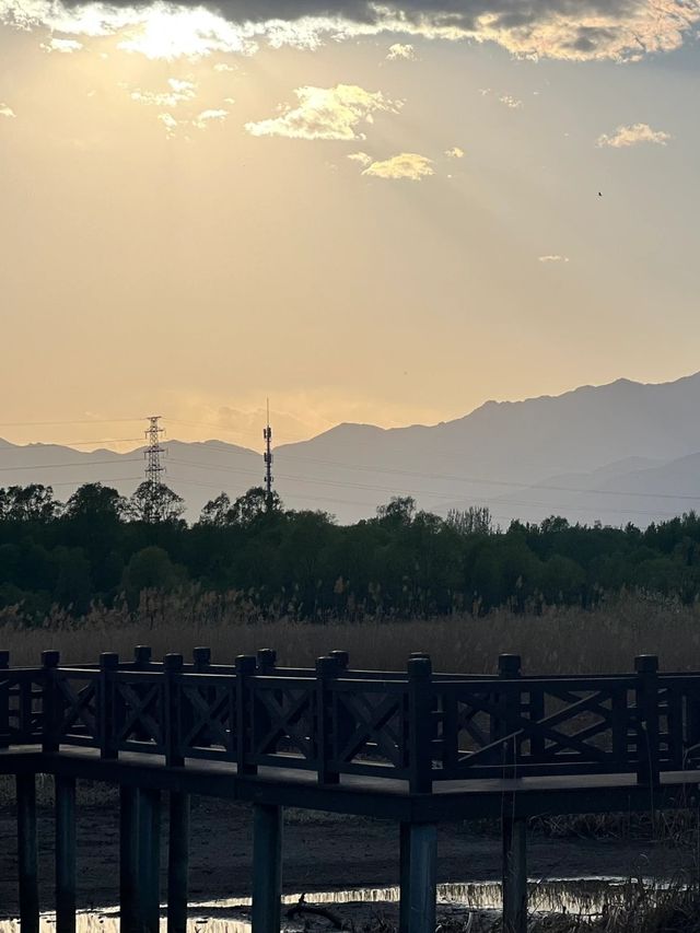Yanqing's small and free park | Guishui River Forest Park