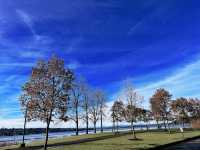 Seattle's Renton Washington Lakefront Park.