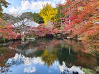 Autumn trip to Kyoto, Japan, enjoy the beauty of Bishamon-do and the red leaves of Daigo-ji Temple.