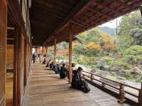 Autumn trip to Kyoto, Japan, enjoy the beauty of Bishamon-do and the red leaves of Daigo-ji Temple.