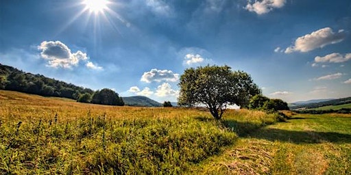 Birmingham Ramblers Sunday Public Transport walk on 14 January 2024 | The Lickey Hills