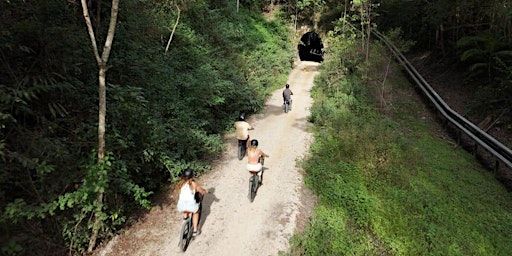 International Women’s Day RATS Chicks Ride on Northern Rivers Rail Trail | Northern Rivers Rail Trail - Murwillumbah to Crabbes Creek section (24 km)
