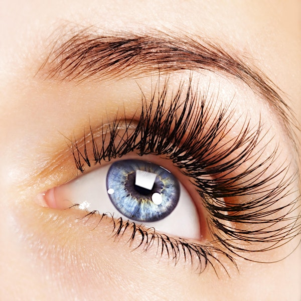Estelle Cont. Ed.- Individual  Lash Extensions - July 28th and 29th, 2025 | 10024 Skokie Blvd
