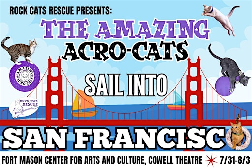 The Amazing Acro-Cats Sail Into  San Francisco | The Cowell Theater at Pier 2