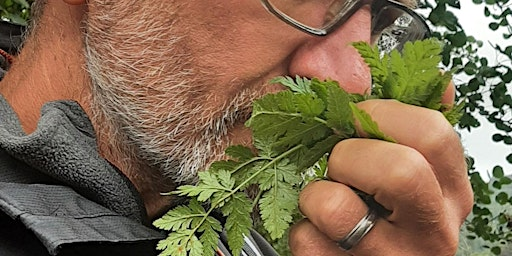 Foraging walk and cookery workshop | Parish church kitchen