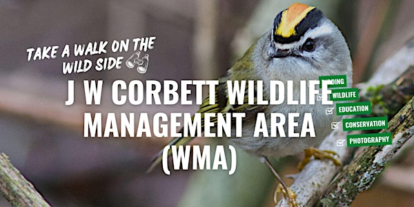 Take a Walk on the Wild Side at J W Corbett Wildlife Management Area | West Palm Beach, FL 33412