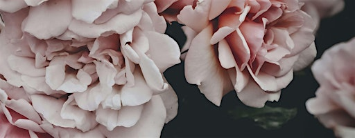 Learn how Tarot can support your emotional well-being | The Space Within