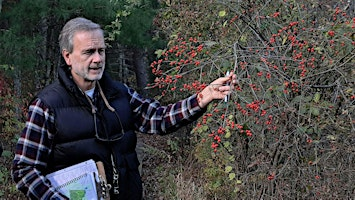 Late Spring Guided Nature Walk at Greenwood Park | Greenwood Park