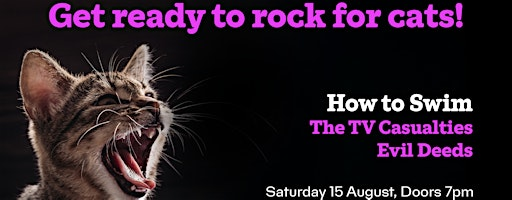 Cats Protection Benefit Gig... presents How to Swim | The Hug and Pint
