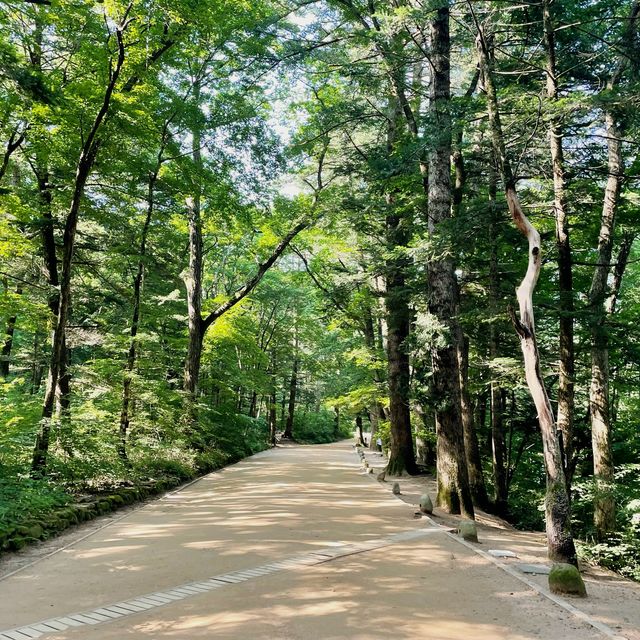 여름엔 강원도로 여행을 떠나보세요 