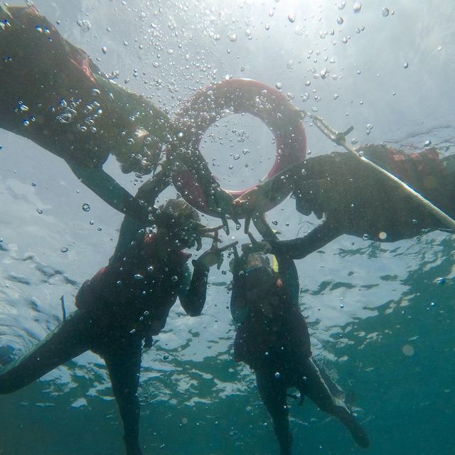 台灣小琉球浮潛之旅｜台灣的美｜海龜共游