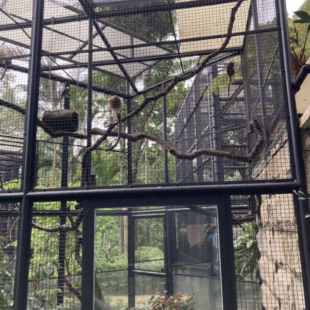 抵玩性價比超值的staycation 