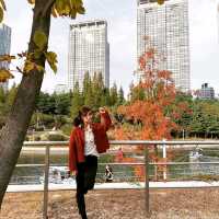 [Voyage17.] 곧 있으면 송도 센트럴파크에서 볼 수 있는 가을 풍경🍂🍁^^